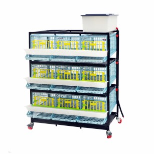 Jaula Para Codornices Ponedoras Jumbo 3 Pisos - Cría Óptima