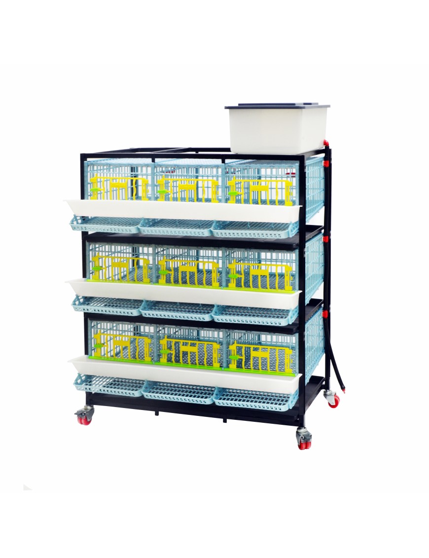 Jaula Para Codornices Ponedoras Jumbo 3 Pisos - Cría Óptima