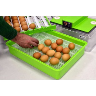 Incubadora Automática Cimuka PD30SH - Incubación Experta