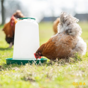 Bebedero para Gallinas y Aves de Corral 10L - Alta Calidad