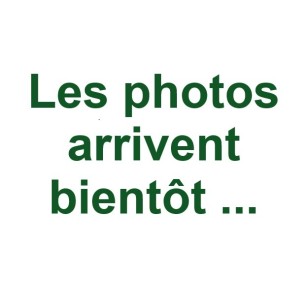 Cuba para Desplumadora de Pavos - Equipo Avícola