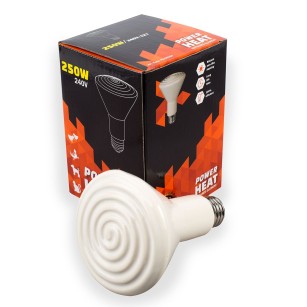 Ampoule Céramique Chauffante 60W | Eggceterra Élevage