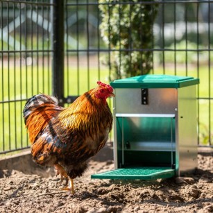 Comedero de Pedal Feedomatic 8 kg + Protección Antirratas