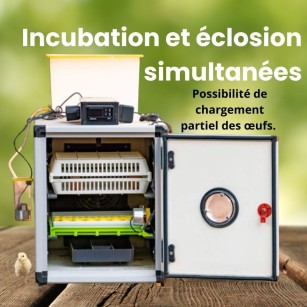 Incubadora Automática Cimuka CT60SH - Cría Profesional