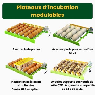 Incubadora Automática Cimuka CT120SH - Cría Profesional