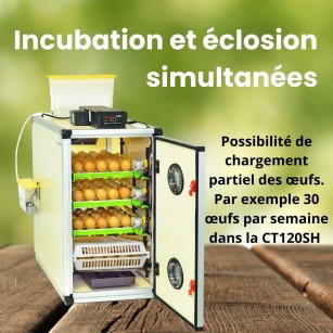 Incubadora Automática Cimuka CT120SH - Cría Profesional