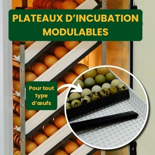 Incubadora Automática Cimuka HB175C - Cría Fácil