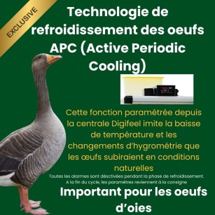 Incubadora Automática Cimuka HB500C - Rendimiento Fiable