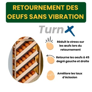 Incubadora Automática Cimuka HB500C - Rendimiento Fiable