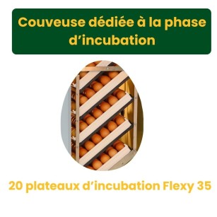 Incubadora Automática Cimuka HB700S - Cría Eficaz