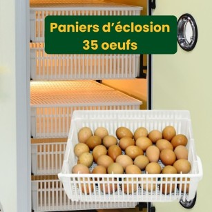 Nacedora Cimuka HB700H - Rendimiento y Fiabilidad