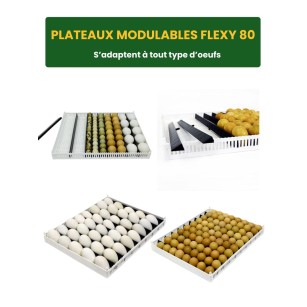 Incubadora Automática Cimuka T1600C Profesional