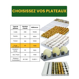 Incubadora Automática Cimuka T1280S Profesional