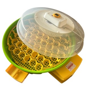 Incubadora IO-204 Eggceterra: Termostato Regulable