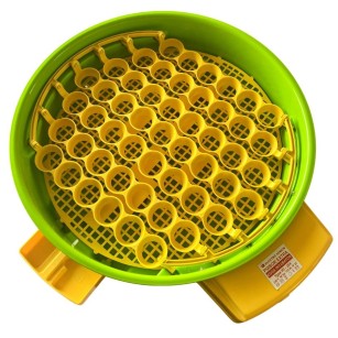 Incubadora IO-204 Eggceterra: Termostato Regulable