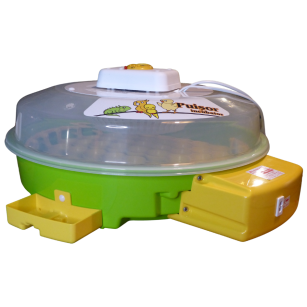 Incubadora IO-204 Eggceterra: Termostato Regulable