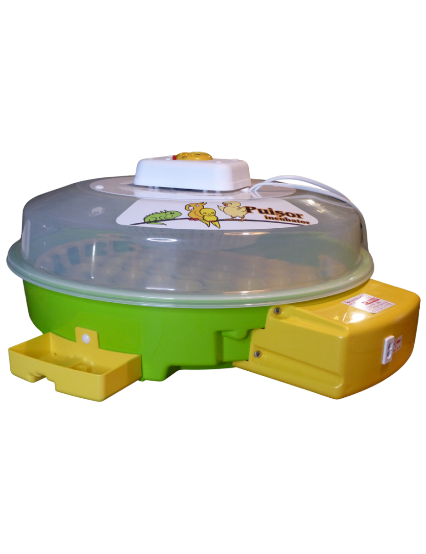 Incubadora IO-204 Eggceterra: Termostato Regulable