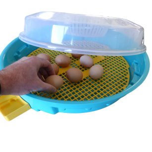 Incubadora Puisor IO-202 Con Termostato Regulable