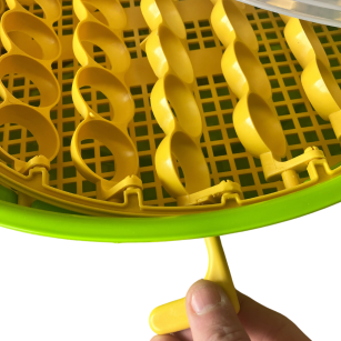 Incubadora Puisor IO-203 con Termostato Ajustable