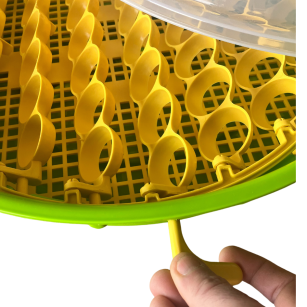 Incubadora Puisor IO-203 con Termostato Ajustable