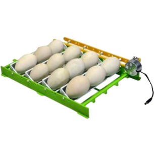 Bandeja de Volteo para Huevos de Oca CNT12