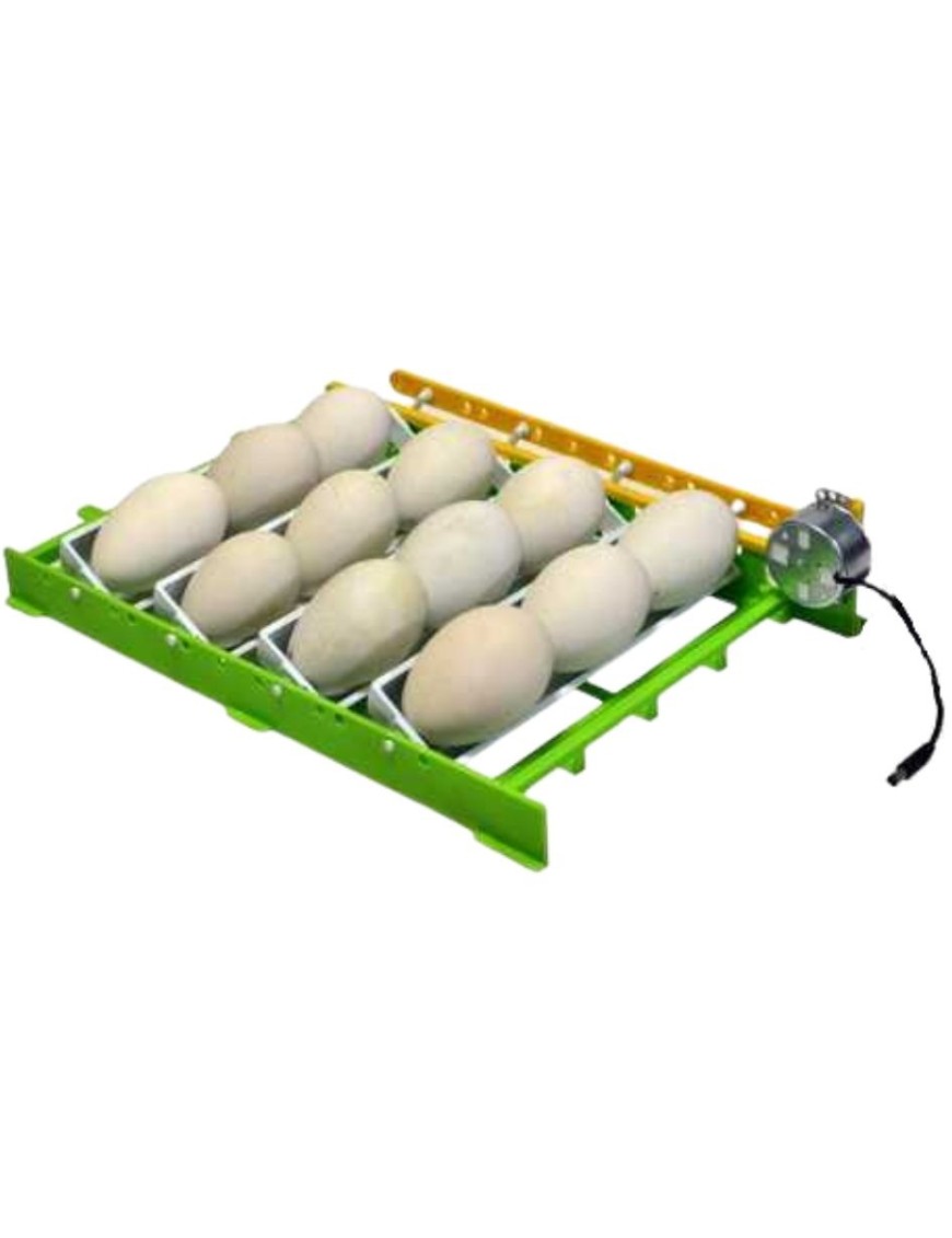 Bandeja de Volteo para Huevos de Oca CNT12