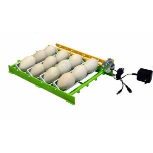Bandeja de Volteo para Huevos de Oca CNT12 con Adaptador