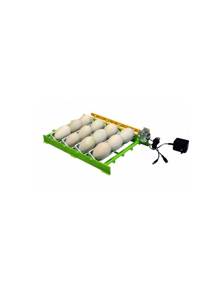 Bandeja de Volteo para Huevos de Oca CNT12 con Adaptador