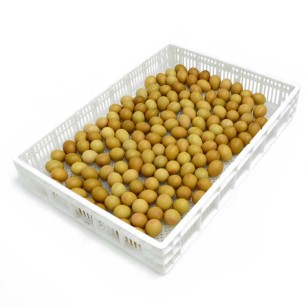 Cesta de Eclosión 160 Huevos CS160 - Calidad Pro para Cría