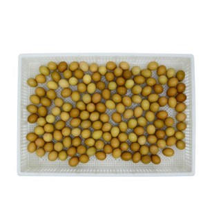 Cesta de Eclosión 160 Huevos CS160 - Calidad Pro para Cría