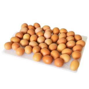Cesta de Eclosión 40 Huevos CS40Y - Cría de Aves