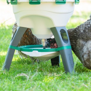 Bebedero Optimus para Gallinas y Aves de Gran Capacidad