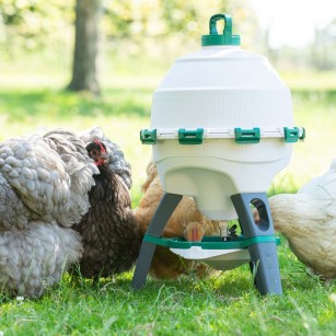 Bebedero Optimus para Gallinas y Aves de Gran Capacidad