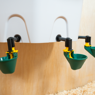 Bebedero Automático Para Gallinas AviAqua 8 Litros + Copas