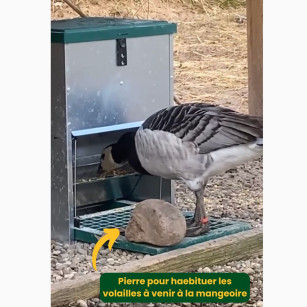 Comedero de Pedal Feedomatic 12 kg + Protección Anti Ratas