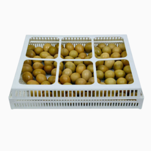 Cesta de Eclosión 80 Huevos Base de Volteo CNT30