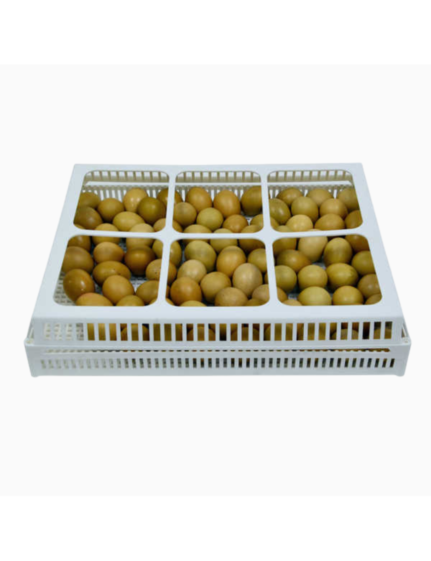 Cesta de Eclosión 80 Huevos Base de Volteo CNT30