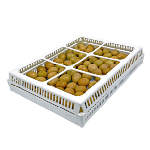 Panier d'éclosion 80 œufs pour couveuse Cimuka série T Eggceterra élevage
