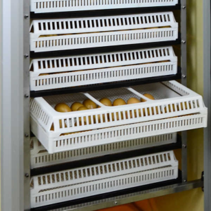 Panier d'éclosion 80 œufs pour couveuse Cimuka série T Eggceterra élevage