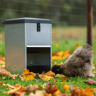 Comedero para Gallinas y Patos 5 kg - Compra Online