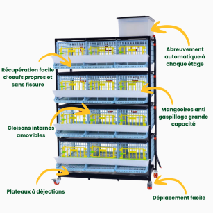 Cage 4 étages pour cailles pondeuses | Eggceterra