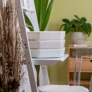 Kit Completo de Cría de Gusanos de la Harina