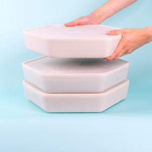 Kit Élevage Vers de Farine | Eggceterra
