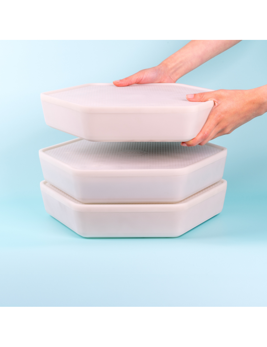 Kit Completo de Cría de Gusanos de la Harina