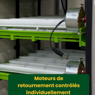 Kit couveuse automatique Cimuka CT60SH et éclosoir Cimuka CT60H