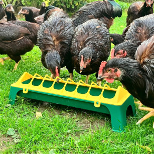 Comedero Lineal 50 cm Para Aves De Corral