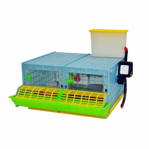 Criadora de Pollitos 2 Secciones (H: 25 cm) - Cría Experta