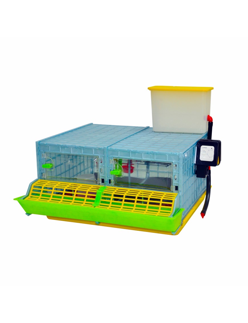 Criadora de Pollitos 2 Secciones (H: 25 cm) - Cría Experta