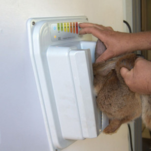 Assommoir Électronarcose Volaille et Lapin