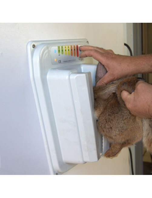Aturdidor de Electronarcosis para Aves y Conejos